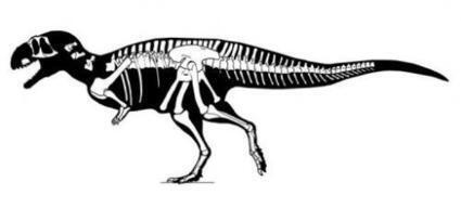 Dinosaur with tiny arms unearthed in Argentina | Skylarkers | Scoop.it
