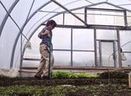 Old MacDonald had a crowdfunded farm | Food issues | Scoop.it