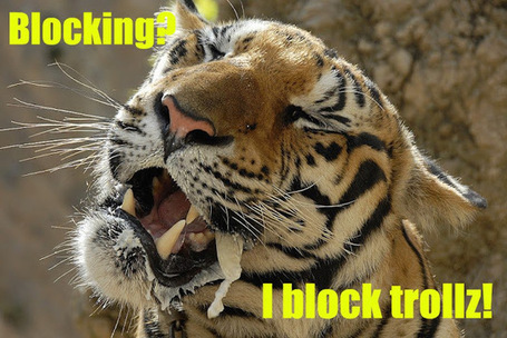 GooglePlus Helper: To block or not to block - that is the question | GooglePlus Helper | Scoop.it