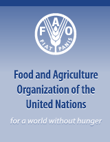 World food prices rise, stay close to crisis levels-FAO | The Glory of the Garden | Scoop.it