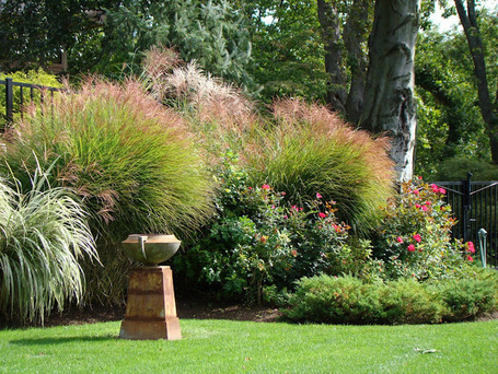  Garden on Garden  Zen Gardens And The Water Dividing Stone   Zen Gardens   Scoop