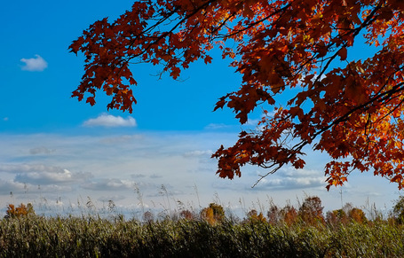 Fuji X-E1 Review by Nick Devlin | Luminous-Landscape | Photography Gear News | Scoop.it