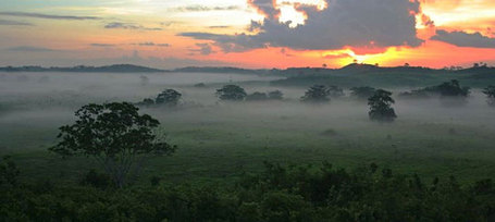 Elite Maya residencies occupied by both living and dead : Past Horizons Archaeology | Archaeology News | Scoop.it