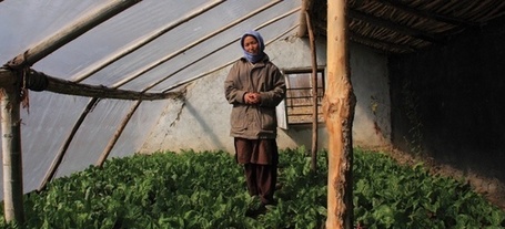 The fruits of frugal innovation | Green Futures Magazine | Trends in Sustainability | Scoop.it