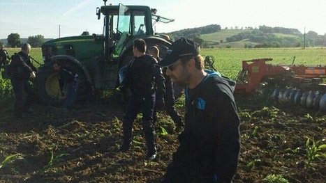 OGM: L'état ordonne la destruction de parcelles illégales de maïs MON810 | Nature to Share | Scoop.it