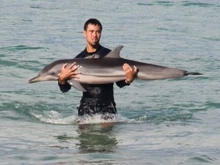 Phuket Embraces a Dolphin Suffering in Phuket's Surf - Phuket Wan | Earth Island Institute Philippines | Scoop.it