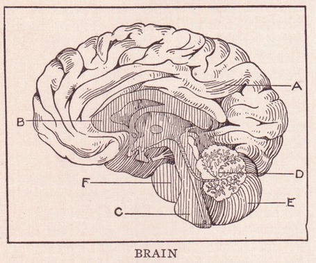 Creativity and Human Reasoning During Decision-Making | The Creativity Post | Technoscience and the Future | Scoop.it