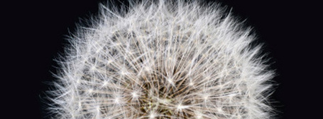 Seven Strategies for Simplifying Your Organization | Leadership 2.0 | Scoop.it