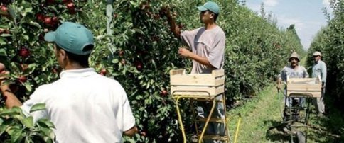 Les Emirats arabes unis investissent dans l'agriculture marocaine