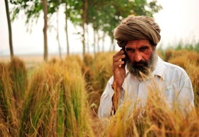 South Asian farmers helped to share "climate smart" knowledge | adapting to climate change | Scoop.it