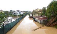 Italy floods prompt fears for future of farming | The Glory of the Garden | Scoop.it