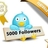 Twitter Promotion