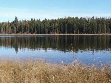 Oil sands pollution confirmed | Sustain Our Earth | Scoop.it