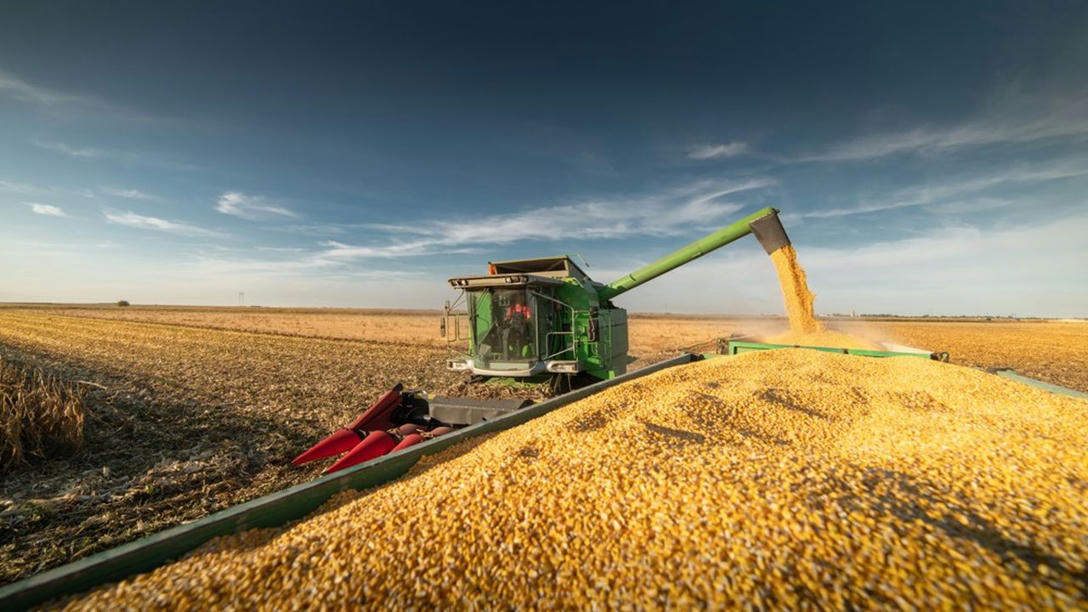 Les Prix Alimentaires Mondiaux Ont Battu Un Nou