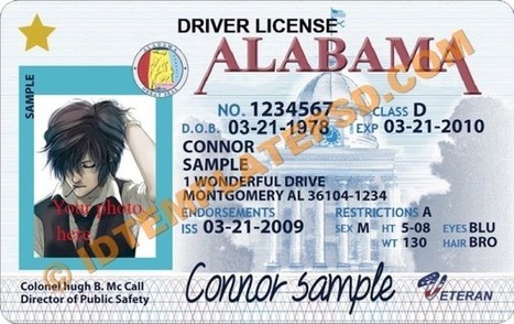 Fake Washington State Drivers License Templates