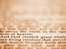 Bible Literacy Pop Quiz | Christianity in Education | Scoop.it