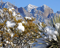 NM known as &lsquo;dull,&rsquo; &lsquo;close to Arizona&rsquo; | NMPolitics.net | Mountainair 87036 | Scoop.it