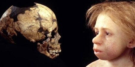 Nouvelle d&eacute;couverte sur le sevrage des b&eacute;b&eacute;s n&eacute;andertaliens | Chroniques d'antan et d'ailleurs | Scoop.it