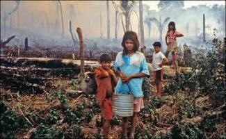 LAND GRABS: How Foreign 