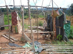 Guyanese sex workers trekking to Suriname's gold fields : Kaieteur ... | Fierce Bitch | Scoop.it