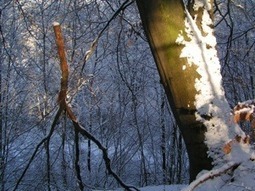 Licht/light | art and poetry | Scoop.it
