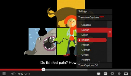 Amara : Ajoutez des sous titres &agrave; une vid&eacute;o. | The efl teacher's tool box | Scoop.it