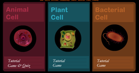 Cell Games - Animal Cell, Plant Cell and Bacteria Cell | HCS Learning Commons Newsletter | Scoop.it