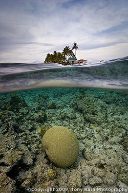 South Water Caye Marine Reserve | Belize in Social Media | Scoop.it