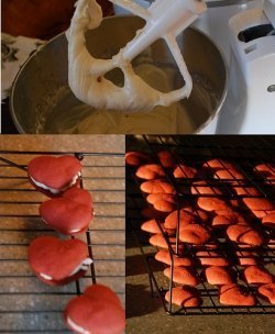 Cheesecakes for Everyone: Even for Gluten Free Guests! | Delicious Desserts and Dessert Recipes | Scoop.it