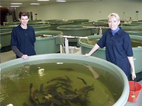 A Career in Aquaculture: A General Overview | Aquaculture | Scoop.it