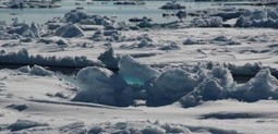 Off balance: the CO2 and sea level seesaw &ndash; An interview with Dr Gavin Foster &laquo; Descent into the Icehouse | Sustain Our Earth | Scoop.it