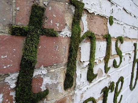 Green graffiti | Alfrescapades | Scoop.it