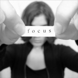 Social Branding, Sheeple and Plans &ndash; What&rsquo;s In Your Network? | Social Media Marketing Strategies | Scoop.it