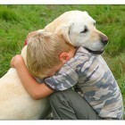 Study: Dogs Show Natural Desire to Comfort Human Companions | Empathy and Animals | Scoop.it