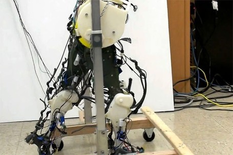 Robotic legs simulate our neural system, lurch along in the most human-like way so far | EEDSP | Scoop.it