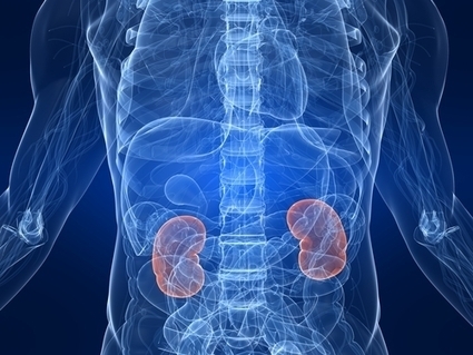 Facebook: Saving Lives, One Kidney at a Time | Organ Donation & Transplant Matters | Scoop.it