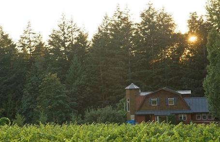 My old stomping grounds and where I learned the magic of growing. Visit Saanich for your fix of bucolic beauty and a load of fresh veggies! | Common Sense Gardening | Scoop.it