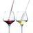 img_pige -  secteur vinicole