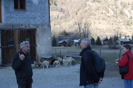 Le Mon&ecirc;tier-Les-Bains | La crainte du loup revient avec le printemps | Loup | Scoop.it