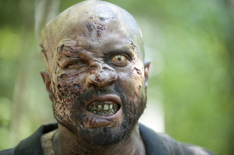 Walking dead walking tall as vampires become anemic | For Lovers of Paranormal Romance | Scoop.it
