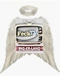 the flying feck logo