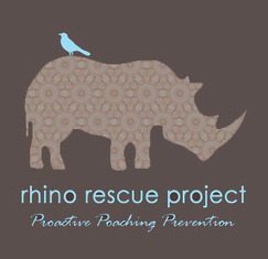 Can Rhino Horn Treatment Prevent Poaching? | What's Happening to Africa's Rhino? | Scoop.it