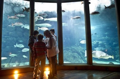 #VivaMC2 &mdash; Amazings.es | Science Museums | Scoop.it