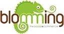 Promoter EcoSilvia: Vendere Online L&rsquo;eccellenza Artigiana! | Artigiani Digitali wwworkers | Scoop.it
