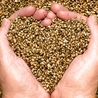 Hemp Miracle