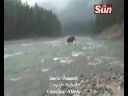 Une vid&eacute;o de mammouth s&egrave;me le doute | Dark-Zone | pleistocene | Scoop.it