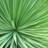 img_Mostly free software downloads