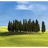 Toscana: notizie dal territorio