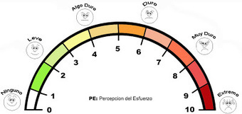 Mesociclo: ESCALA DE ESFUERZO PERCIBIDO PARA EL CONTROL DE LA INTENSIDAD EN RESISTENCIA | Educaci&oacute;n F&iacute;sica - Secundaria | Scoop.it