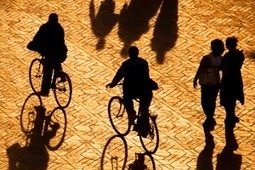 The World' s Muslims: Religion, Politics and Society - Pew Forum on Religion and Public Life | enjoy yourself | Scoop.it